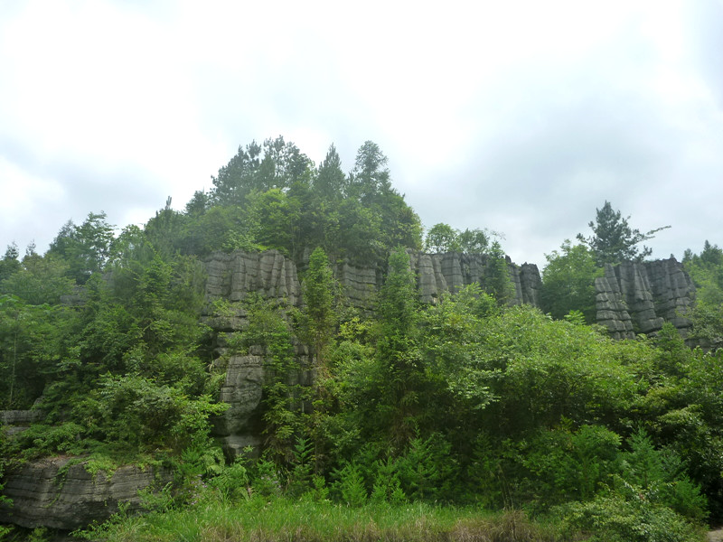 p1160152_.jpg