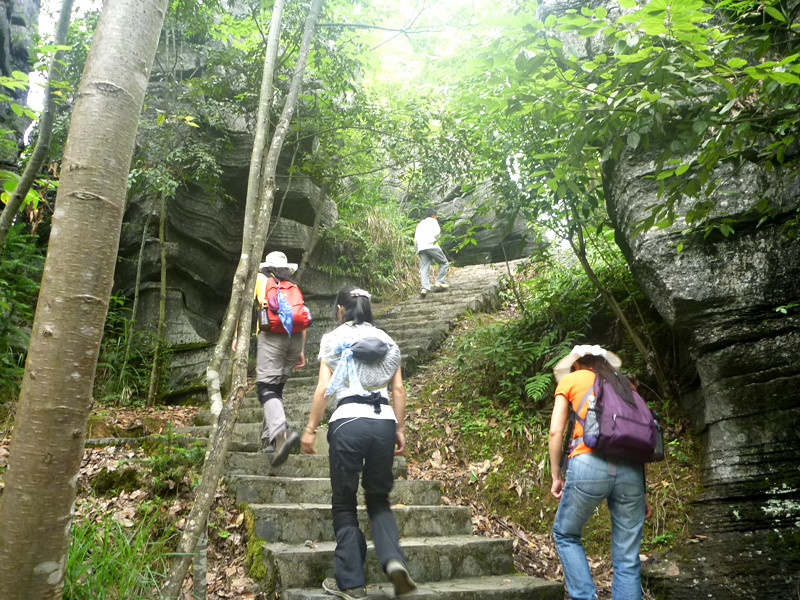p1160156_.jpg