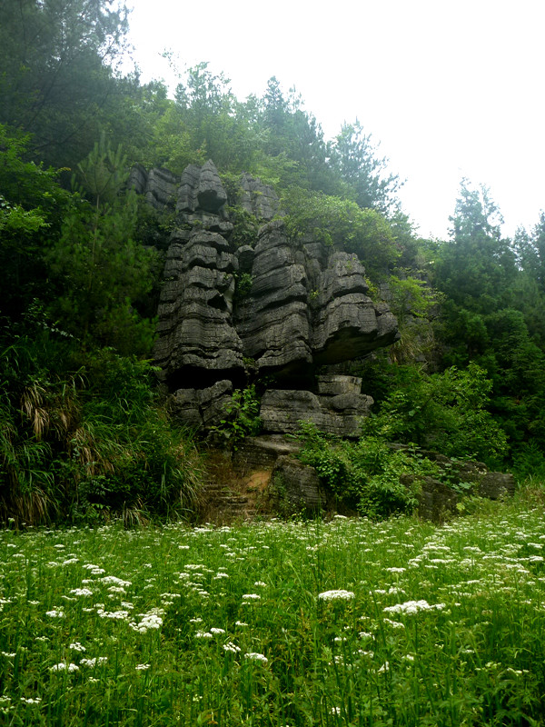 p1160170_副本.jpg