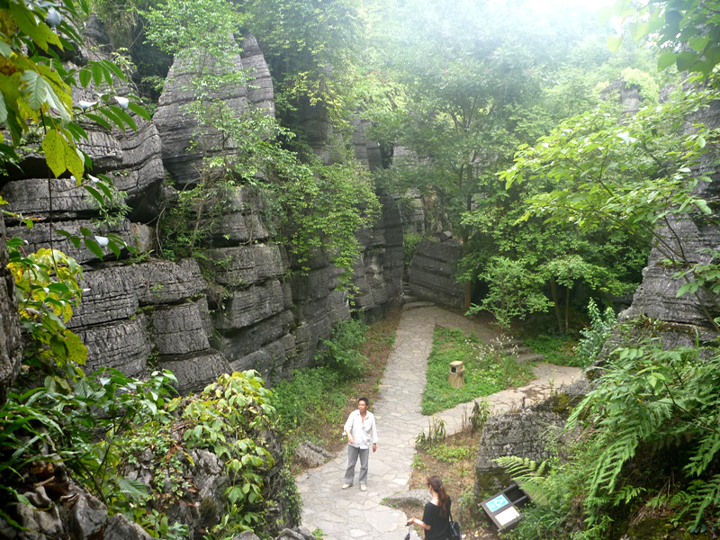 p1160178_副本.jpg