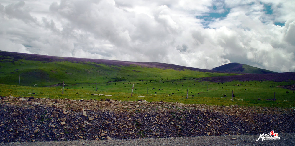 dsc_5620.jpg