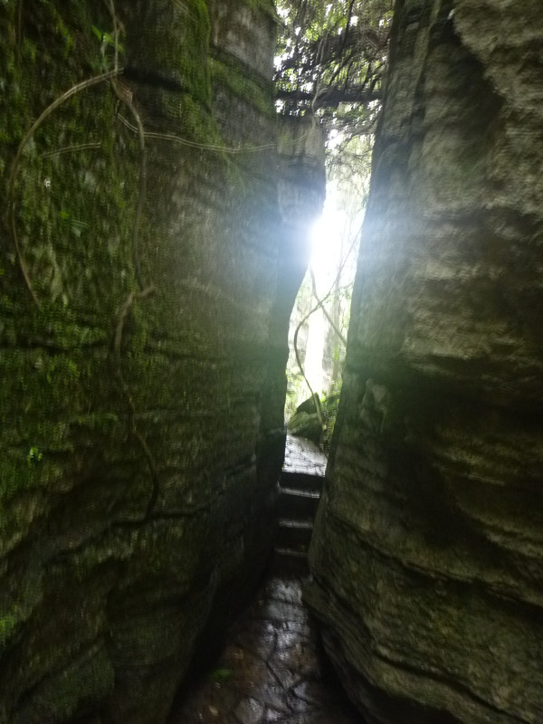 p1160132_.jpg