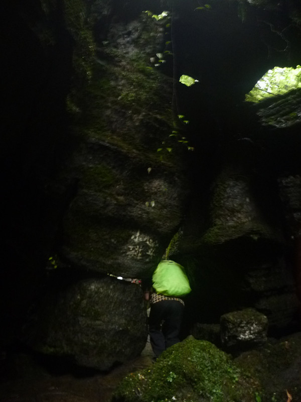 p1160136_.jpg