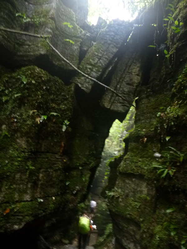 p1160133_.jpg