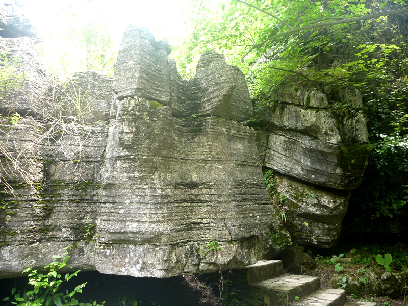 p1160143_.jpg