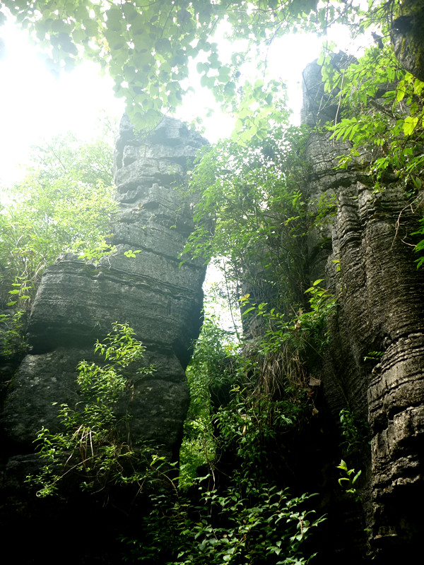 p1160144_.jpg