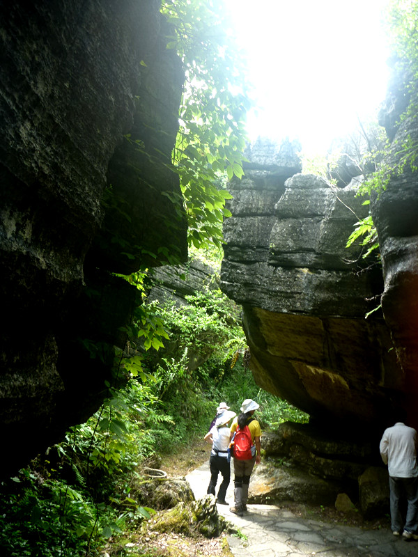 p1160145_.jpg