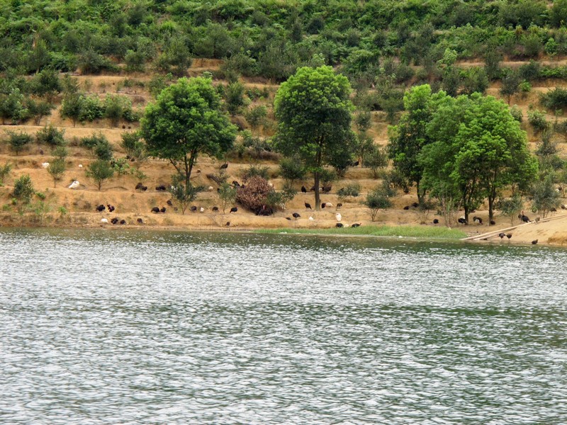simg_1444.jpg