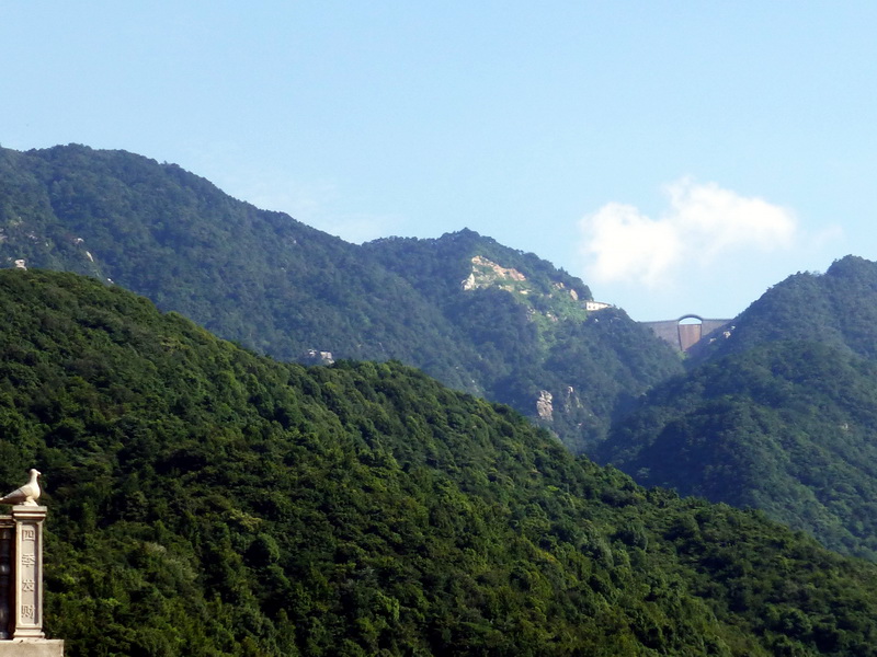 p1090550.jpg