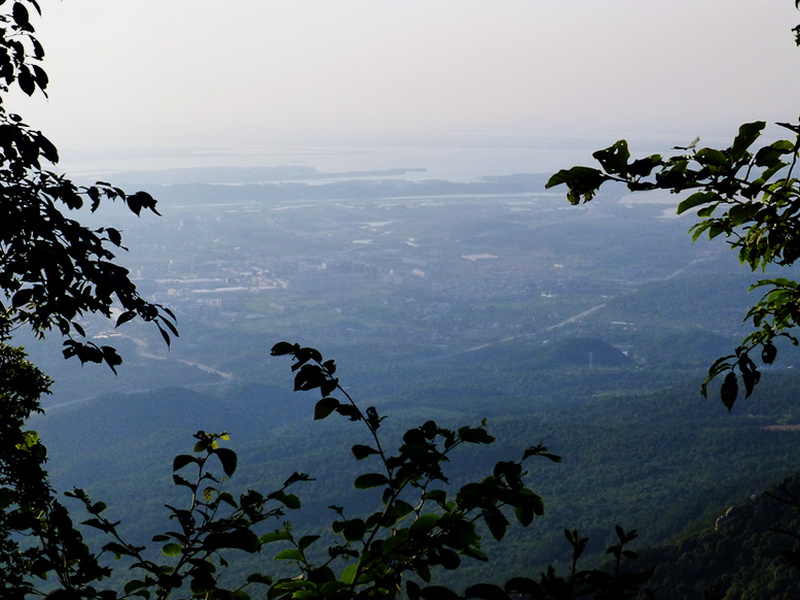 p1090569.jpg