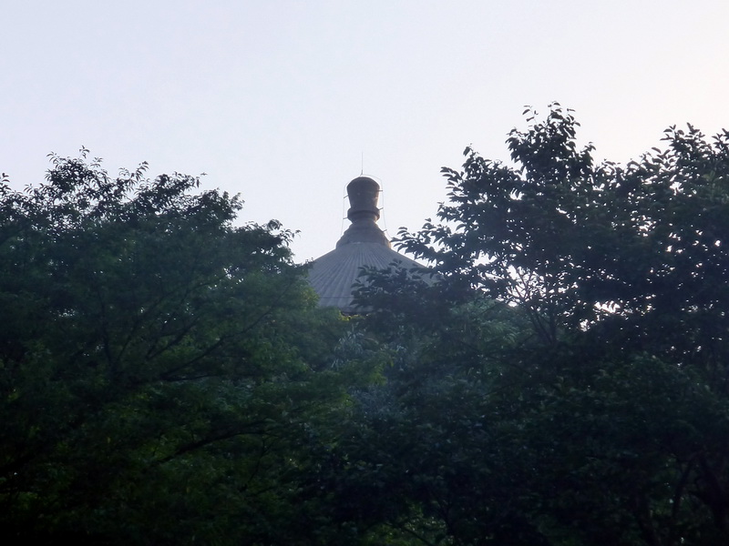 p1090579.jpg