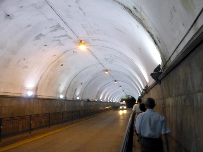 p1090610.jpg