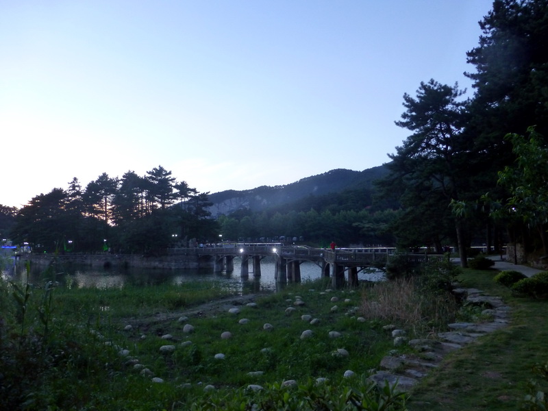 p1090602.jpg