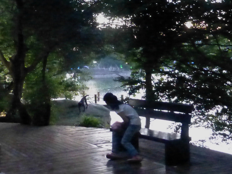 p1090604.jpg