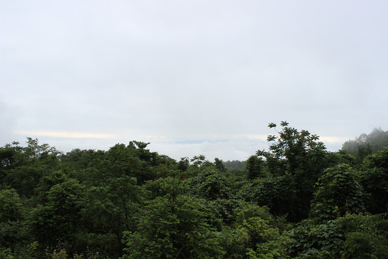 ǧҰݳ 182_.jpg