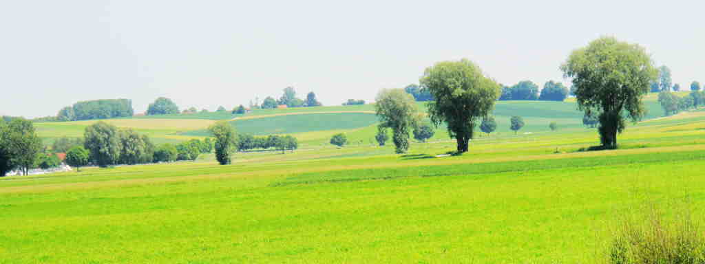 img_6404_.jpg