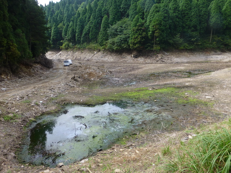 p1090628.jpg