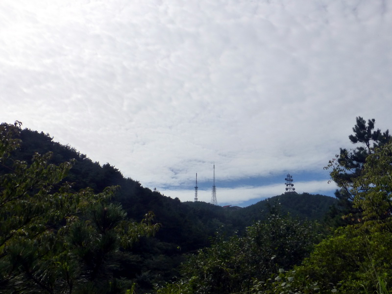 p1090630.jpg