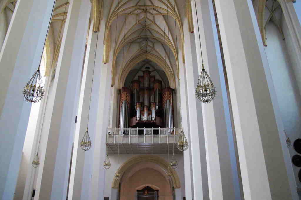 img_6537_.jpg