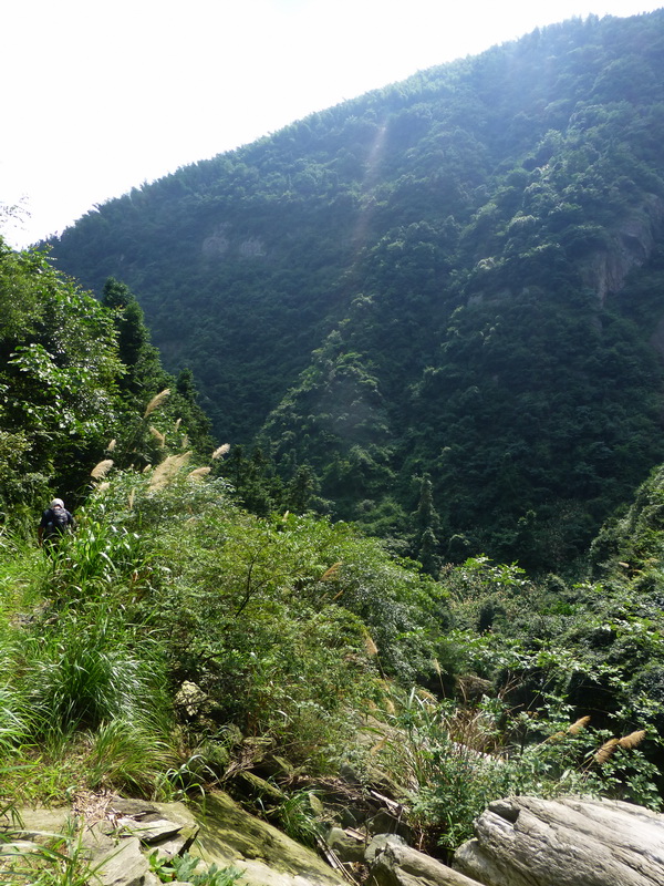 p1090700.jpg