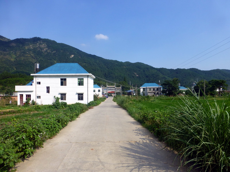p1090725.jpg