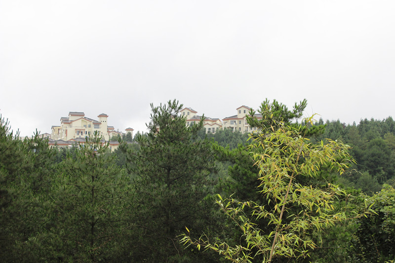img_2107_副本.jpg