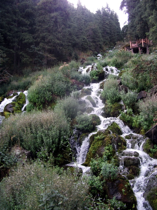 dscf0284.jpg