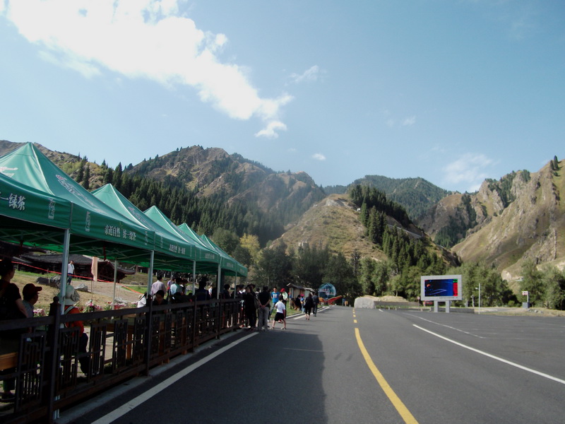 dscf0296.jpg