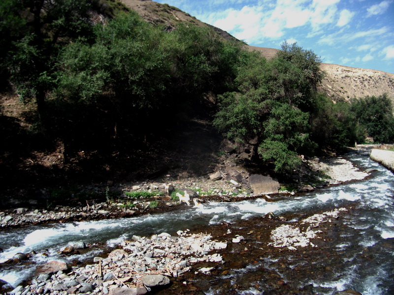 dscf0303.jpg