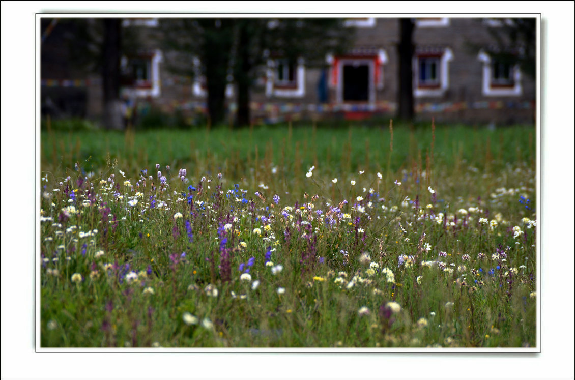 dsc_5768.jpg