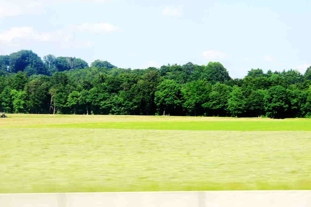 img_6616_.jpg
