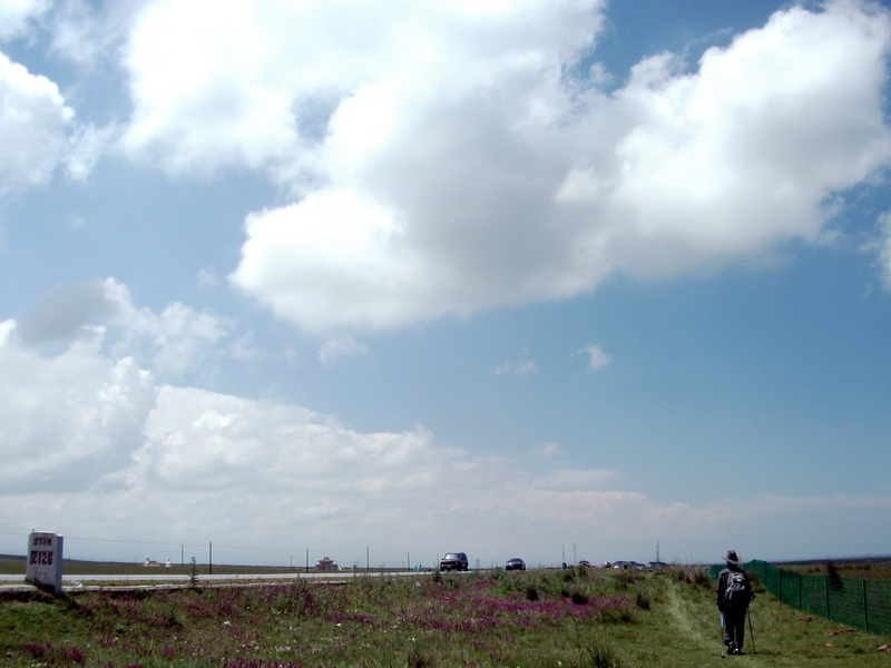 dscf0271.jpg