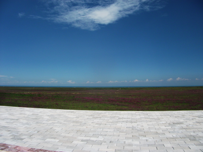 dscf0283.jpg