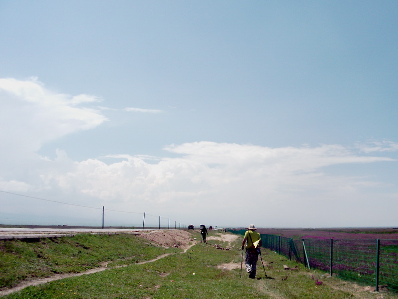 dscf0287.jpg