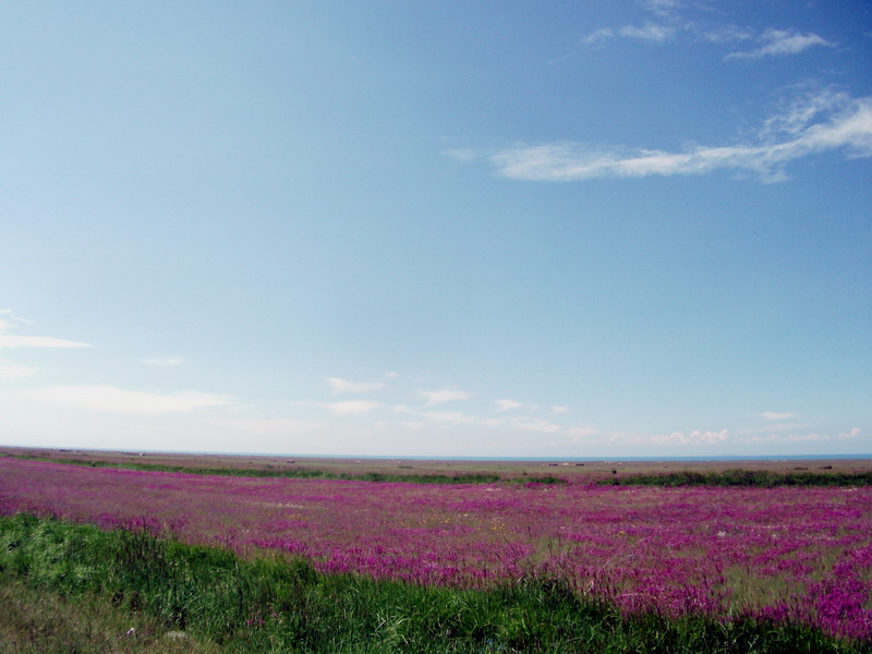 dscf0288.jpg