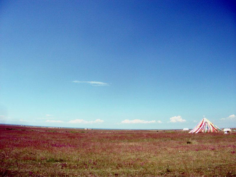 dscf0296.jpg