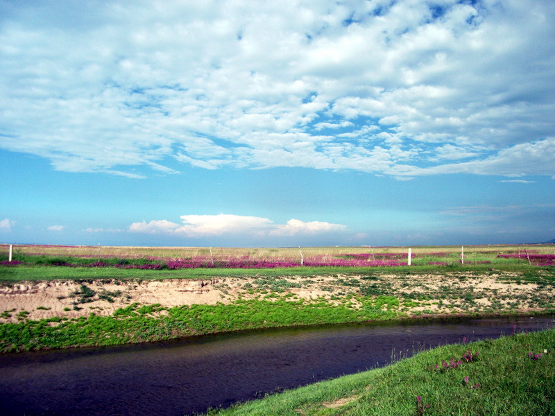 dscf0329.jpg