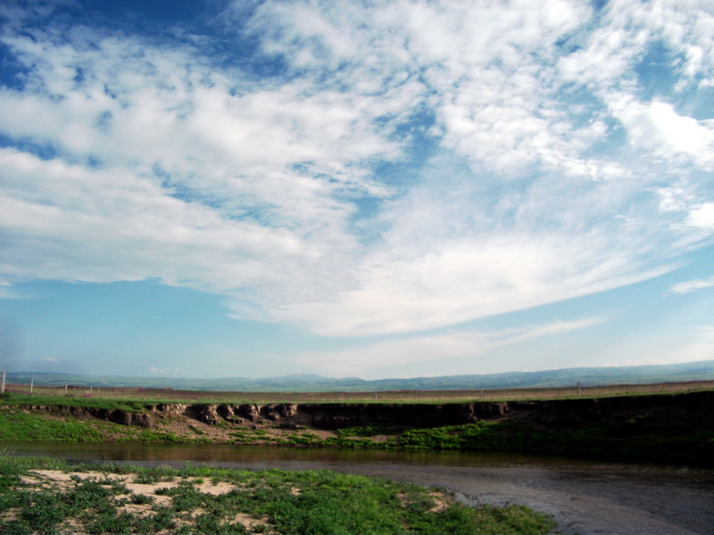 dscf0331.jpg