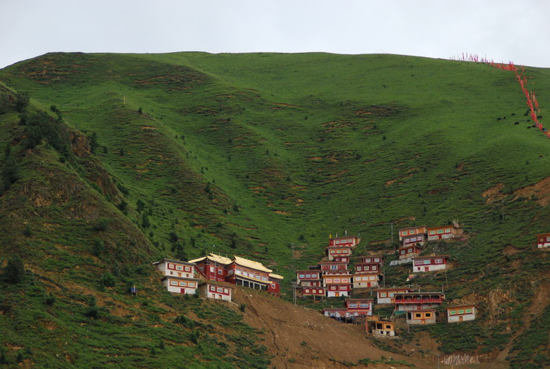 dsc_3931.jpg