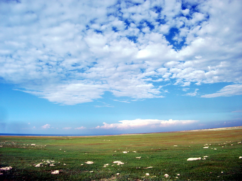 dscf0336.jpg