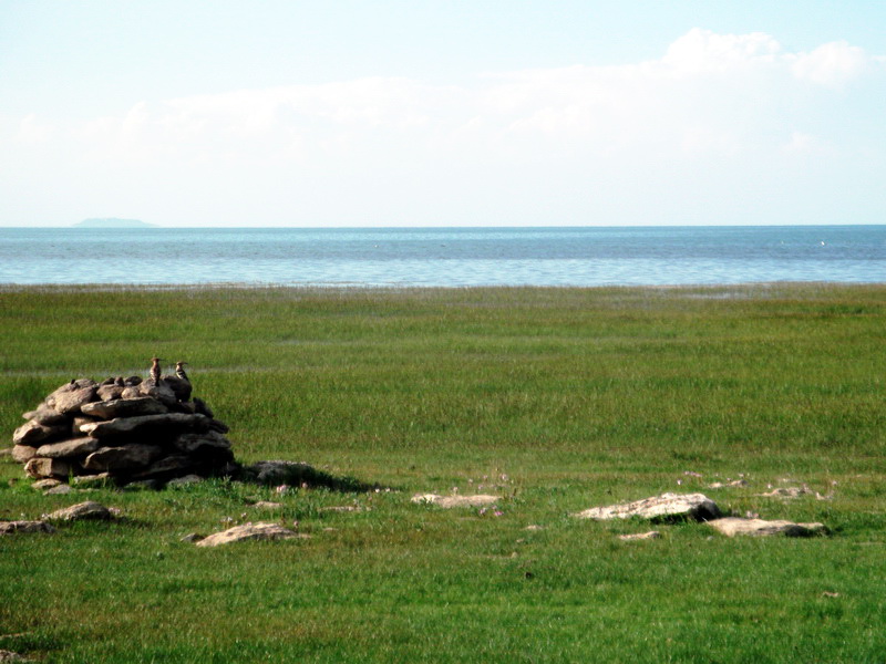dscf0337.jpg