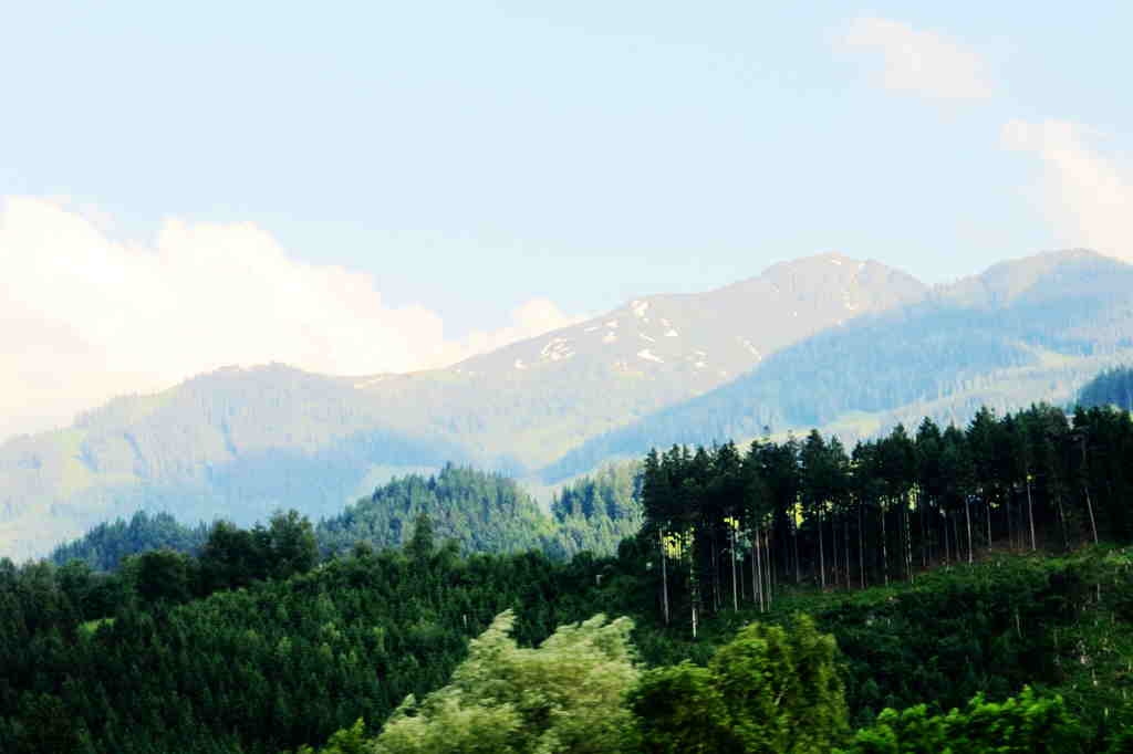 img_6684_.jpg