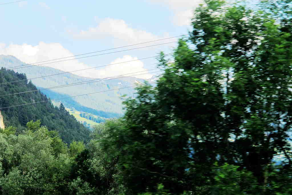 img_6688_.jpg