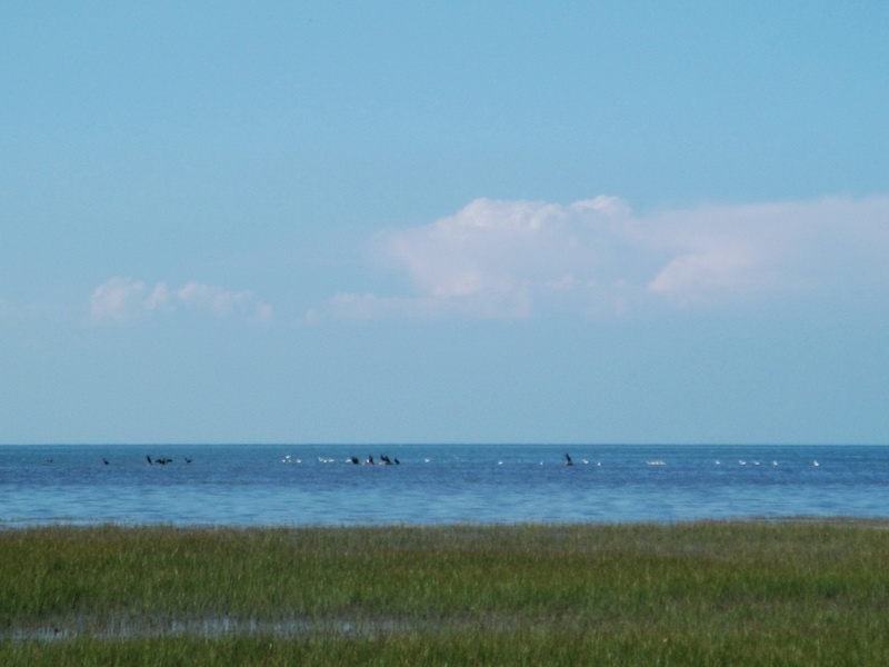 dscf0340.jpg