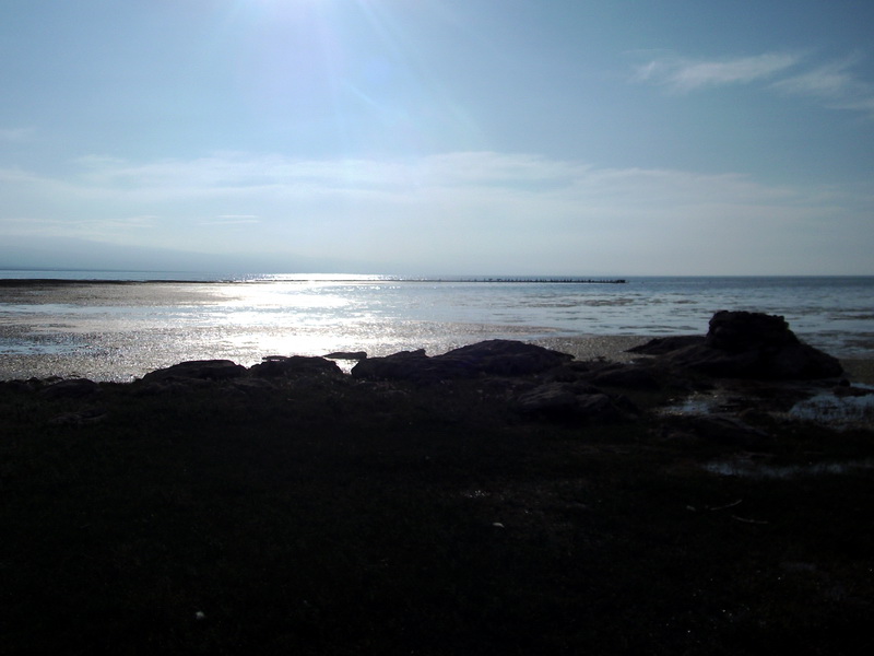 dscf0344.jpg