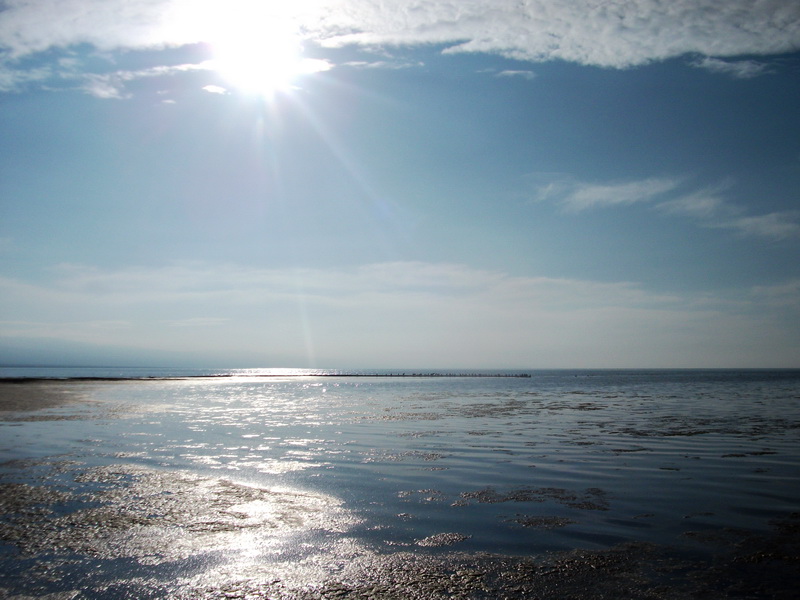 dscf0348.jpg