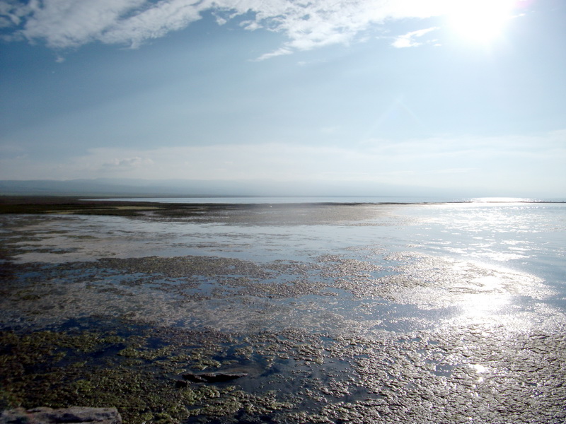 dscf0352.jpg