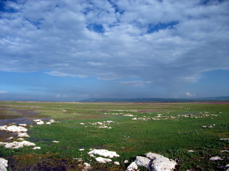 dscf0353.jpg
