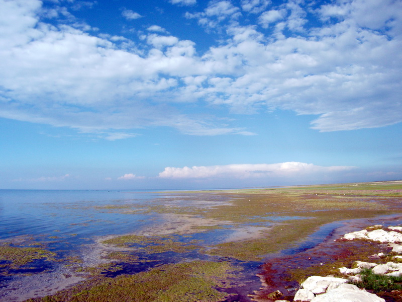 dscf0354.jpg