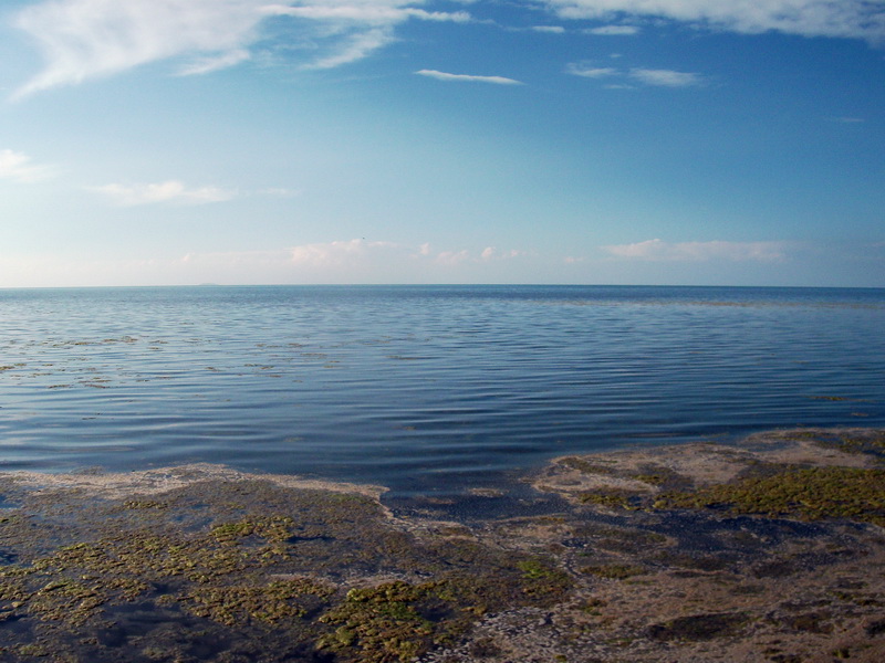 dscf0356.jpg